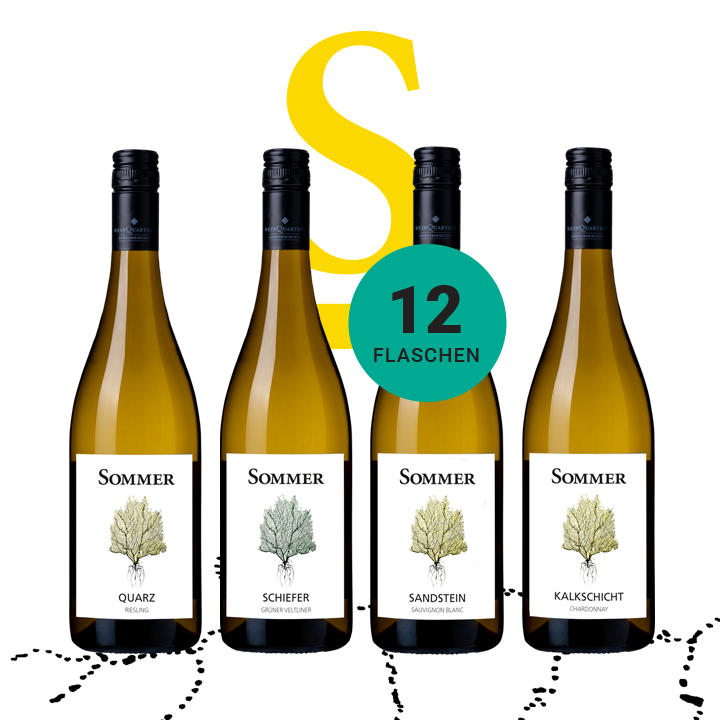 Quarz, Schiefer, Kalkschicht & Sandstein - 12er Paket